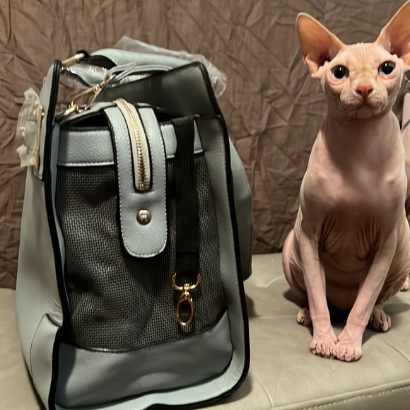 Pet Carrier - Picture 3 of 4